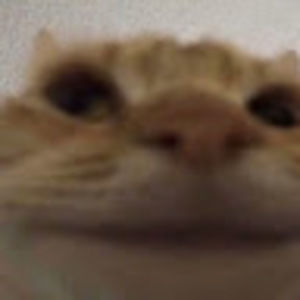 Meet your Posher, Joe